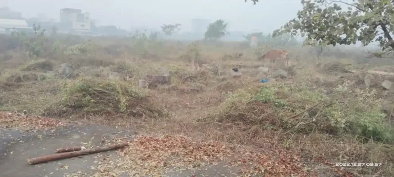 Dhaka West Power — Project site