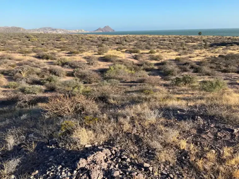 North America — Site work near the coast