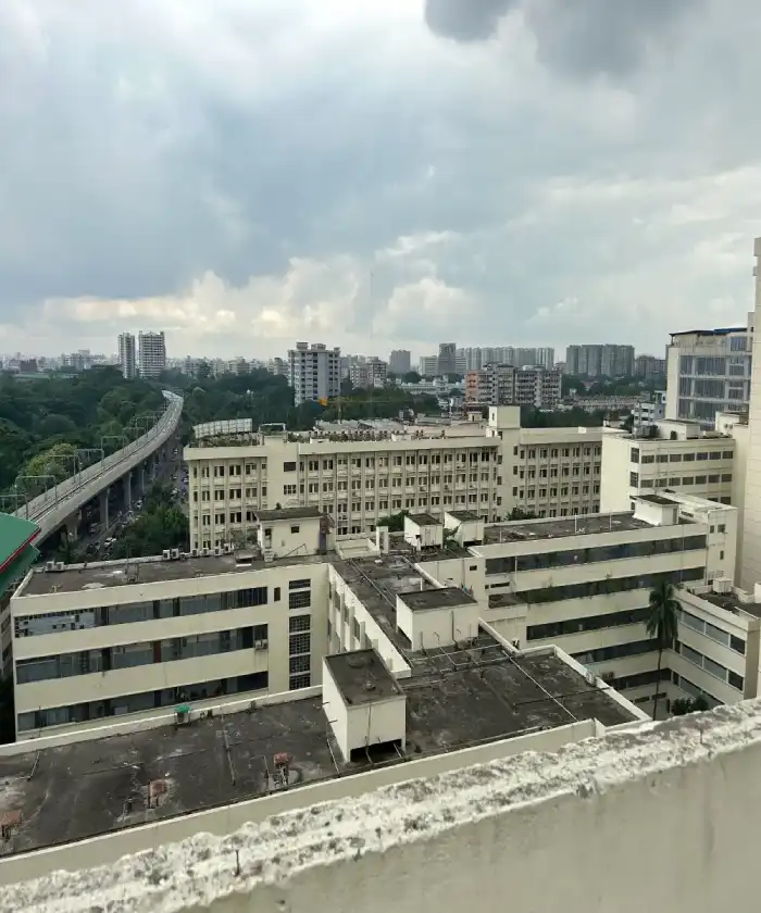 Urban buildings and elevated transport infrastructure